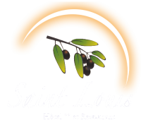 logo Hôtel Saint Louis